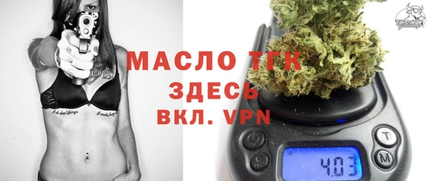 гидра Богородицк