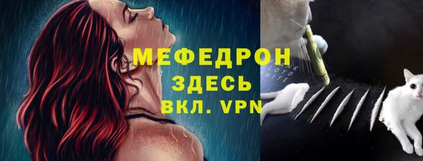 гидра Богородицк