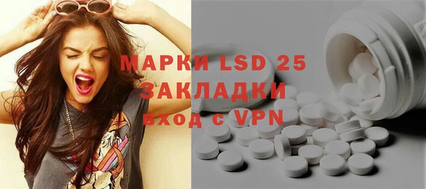прущие грибы Богородск