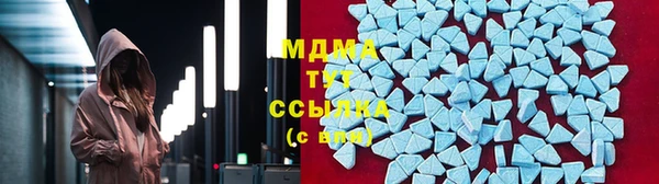 гидра Богородицк
