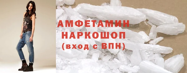 гидра Богородицк