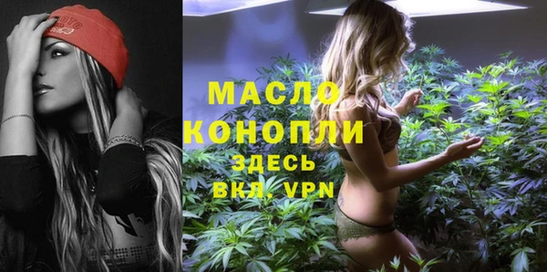 гидра Богородицк