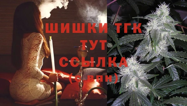 spice Богданович