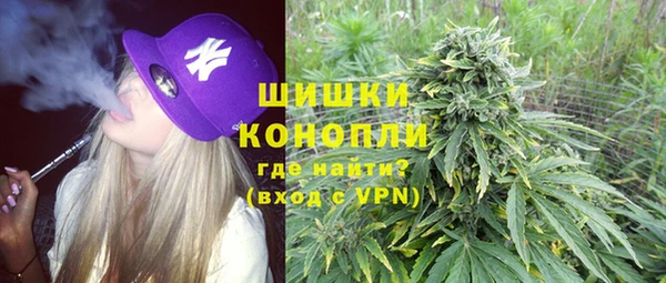 прущие грибы Богородск