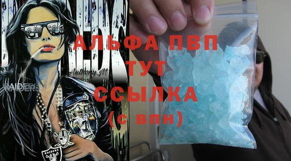 гидра Богородицк