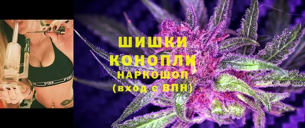 гидра Богородицк