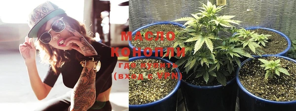 spice Богданович