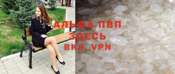 гидра Богородицк