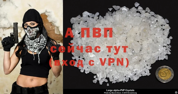 spice Богданович