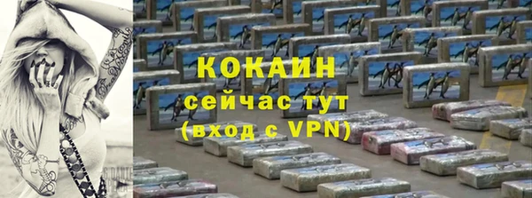 сатива Белокуриха