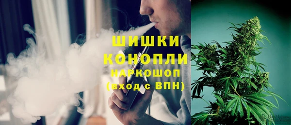 сатива Белокуриха